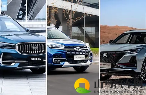 何小鹏称十年后中国汽车品牌格局是“五强和其他”，能否认同？-3