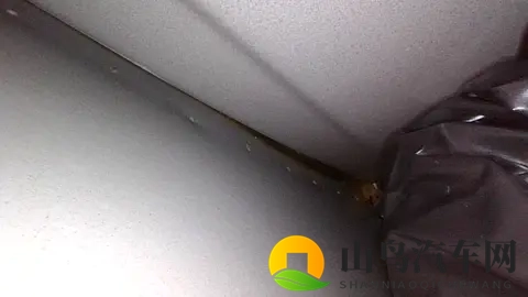 欧拉预售纯电SUV，12万预算购车必看要点-1