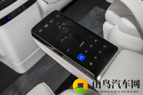 入手26款岚图梦想家，智能安全又豪华，半个月体验超满意！-2