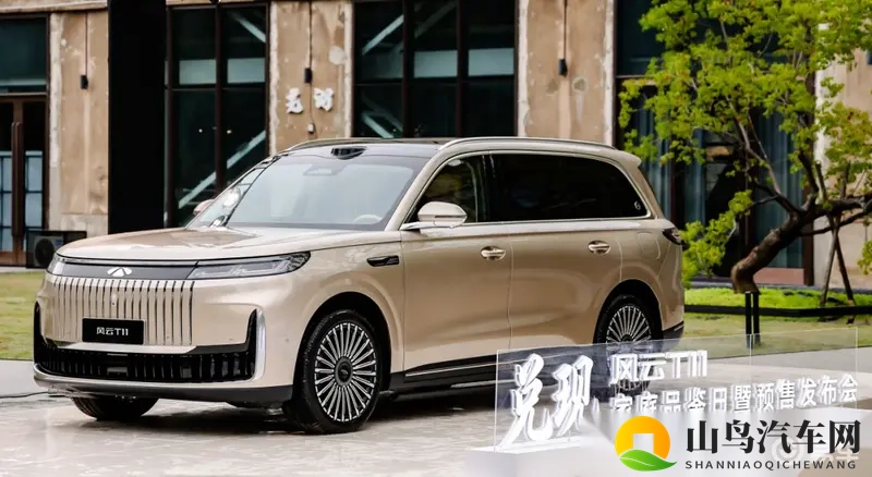 风云T11，17.99万起，11气囊+220km续航，家庭用户推荐-1