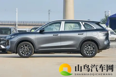 虎_豹两套前脸,尺寸轴距加长,全新瑞虎8预售,你买不买?-3