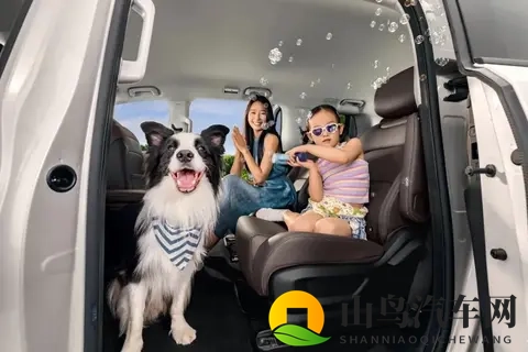 10万级MPV推荐，真7座+电滑门，动力配置多选，家用很合适-2