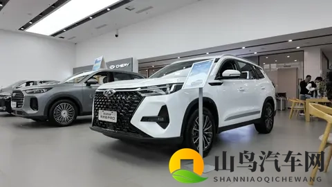 前三季度销量超200万辆！到底谁在买奇瑞？听听销售顾问怎么说-2