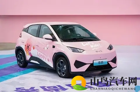 海鸥真实口碑：优点夸到停，缺点吐槽声从没断-1