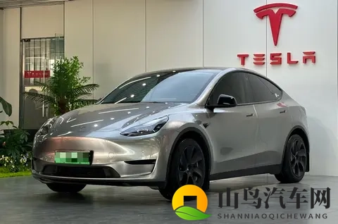 23年Model Y，香槟色颜值担当，16万+圆你电车梦！-3