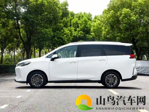 买4辆车踩遍坑，我总算懂了家用车该怎么选！-3