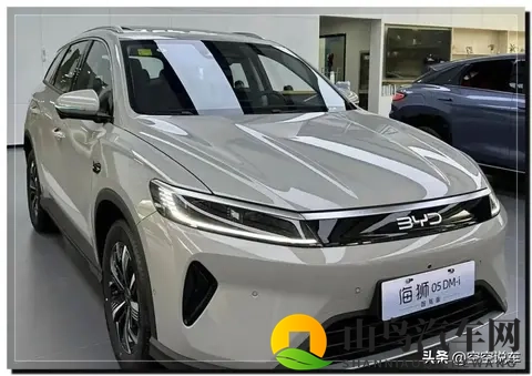 728万入手1400km续航,比亚迪海狮05直降23万,4S店为何被围爆-1