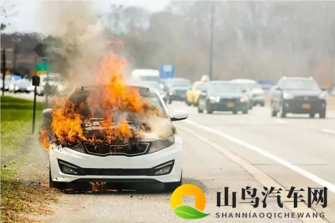 长见识了！新能源汽车在服务区被雷电击中，车顶铁皮烧融，有熔点-2