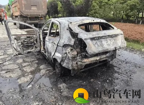 长见识了！新能源汽车在服务区被雷电击中，车顶铁皮烧融，有熔点-1