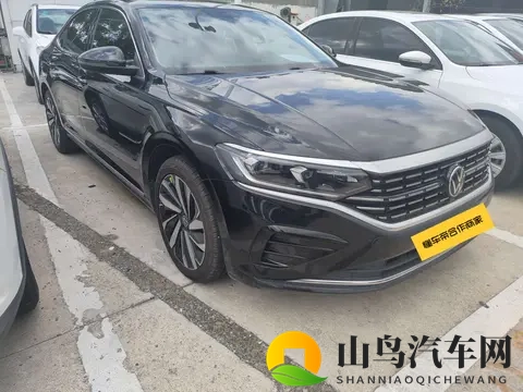 11万多拿下大众帕萨特,宜商宜家好选择-2