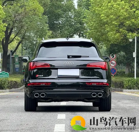 奥迪SQ5四十几万落地却乏人问津 燃油情怀撞上新能源浪潮全记录-3