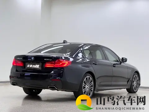 19年宝马530Li，62万公里，228万，宜商宜家好选择-2