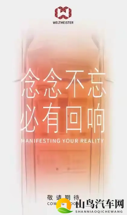 新势力冰火两重天:零跑狂飙理想暴跌-1