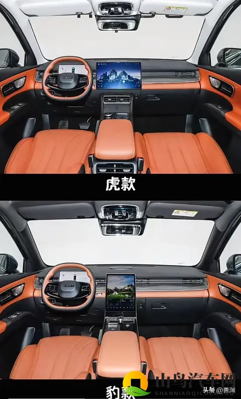 瑞虎8 豹款和虎款区别-2