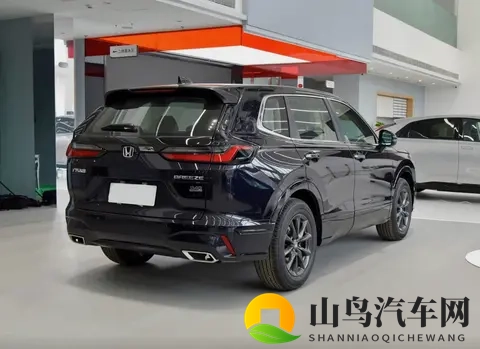 西北君君调教骚受Chinese：新能源汽车崛起，中国科技引领全球-2