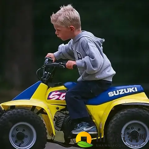 F1人物传：围场里最疯狂的人——马克斯·维斯塔潘-3