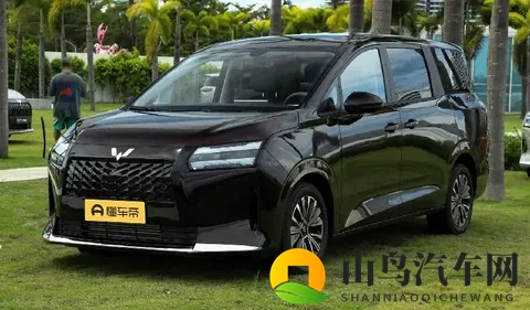 星光730预售768万起,续航达1100km,大七座满足全家出行需求-3