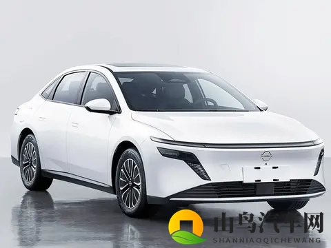 挑战黑人40厘米巨大：神秘车型挑战极限，速度与激情对决！-1