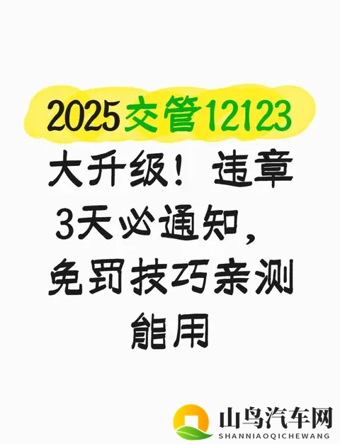 2025交管12123大升级！违章3天必通知，免罚技巧亲测能用-1