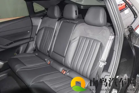 2359 万可换电更保值？家用纯电乐道 L60 740km 续航 119kWh 能耗解读-3