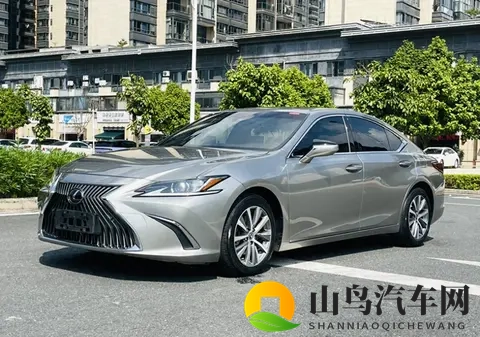 南宁二手车市场里的那辆“低调老大哥”-2