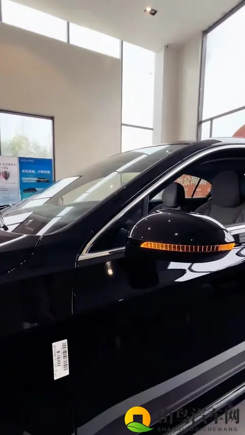 紫色面具十三部：汽车科技新篇章，揭秘未来出行变革-2