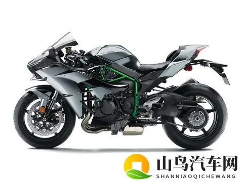 2025年仿赛摩托车年度榜单：杜卡迪V4 R狂揽221马力称霸！-1