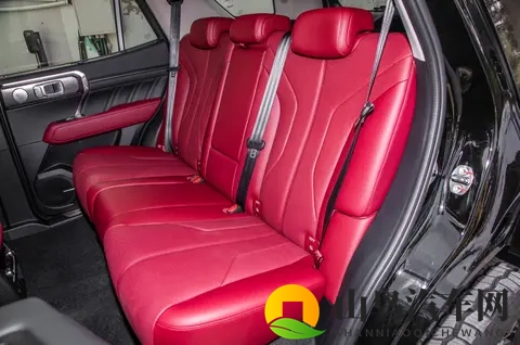 再等2天，新一代坦克400将上市发售，四种动力可选-2