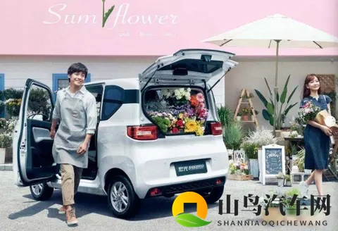 180万销量背后故事，始终与用户同频，宏光MINIEV引领代步车潮流-2