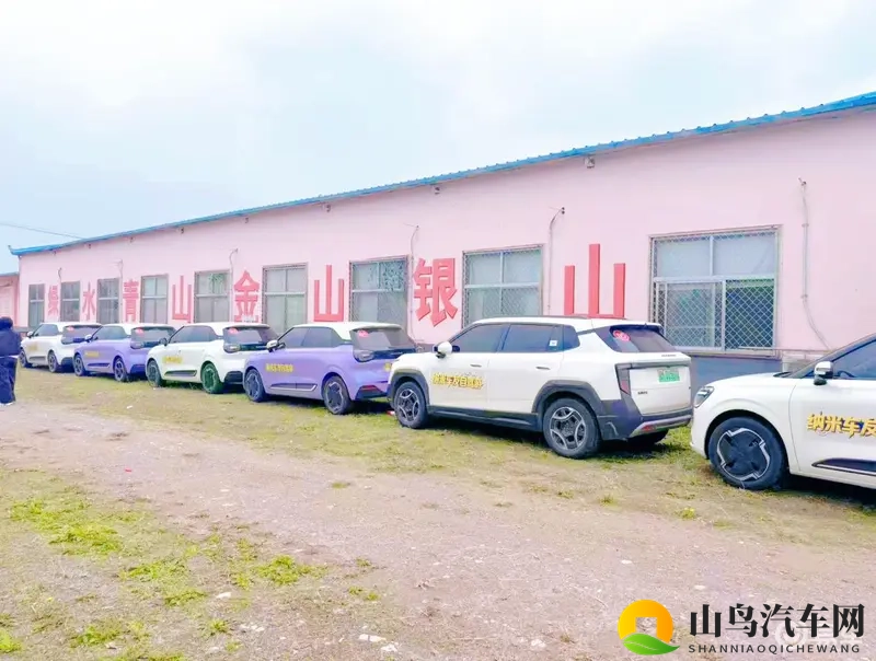 5万级纯电再升级！纳米01老车主带你秋日银杏林沉浸体验-1