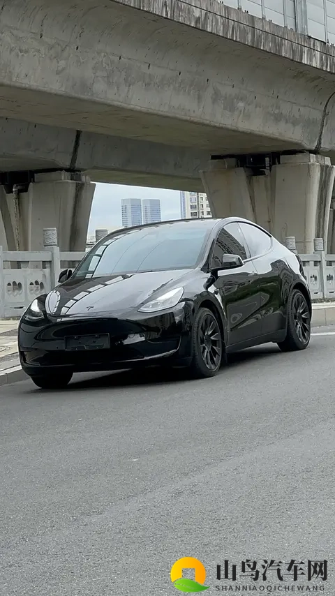 17万多拿下特斯拉Model Y，代步家用真香？-1