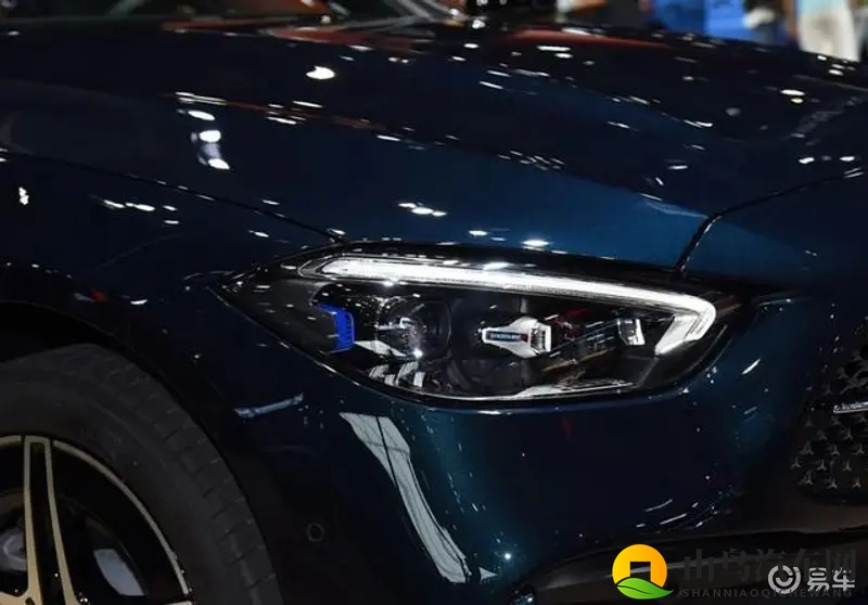 100%Vendos：纯种Vendos，品质保证百分百-1