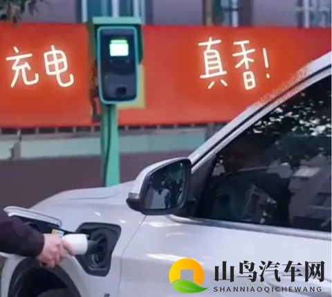 油车车主说不公平，英国动手，要对电车开征“里程税”了？-2