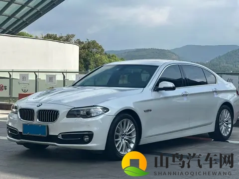 十年宝马5系,10万出头,圆你豪华品牌梦?-1