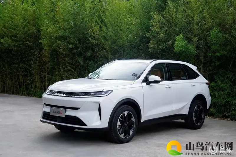 2.0T发动机，每公里5毛钱？国民SUV在此刻具象化了-1