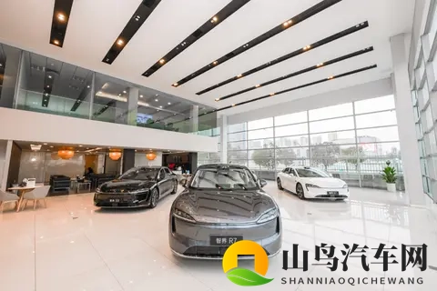 72式啪啪真人动态图试看：汽车试驾新潮流，虚拟体验赢未来-1