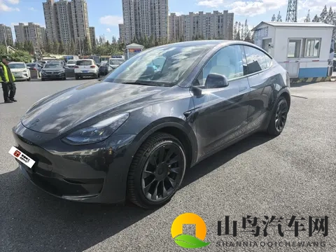 19万多开走准新特斯拉Model Y,感受59秒加速!-3