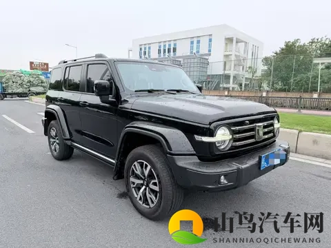 一手准新，圆你硬派越野梦——二手坦克300-2