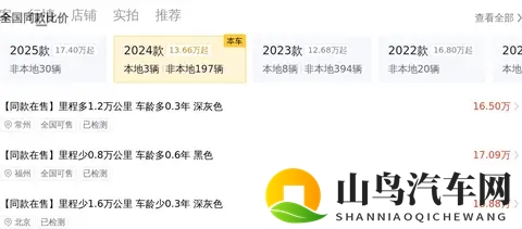 准新坦克300：20T征服者，黑色硬汉风，圆你越野梦-3