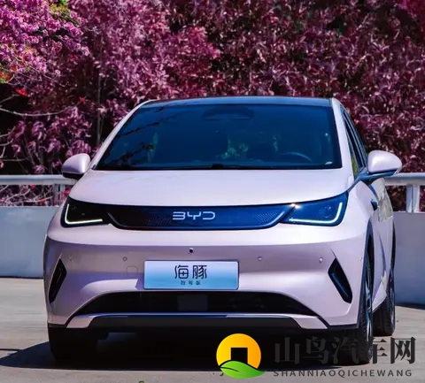 海豚优缺点大实话:买菜接娃超顺手,长途出行就露怯-2