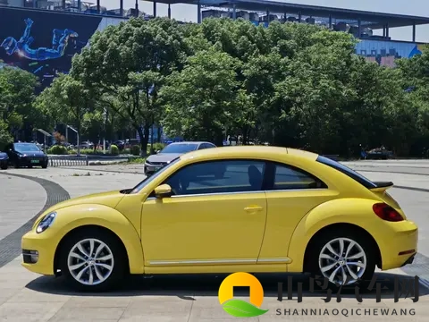 丰满奶头大乳BBWBBW：性感丰满，巨乳美女BBW风采尽显-2