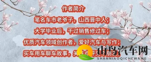 性直播:汽车营销新潮流,直播助力销量突破-3