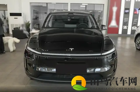 售价2885万元，特斯拉Model Y长续航后驱版上市，续航821公里-2