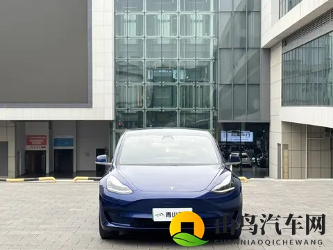 一手20款特斯拉Model3,10万出头体验未来科技?-1