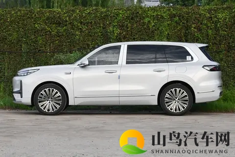 二孩家庭选六座 SUV：深蓝S09 和银河M9 ，为啥选前者呢？-1