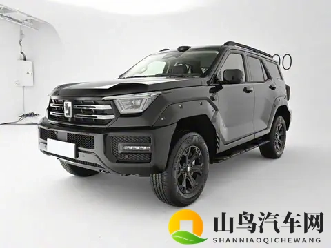 预售价3098万起！新款坦克400将于11月6日正式上市-2