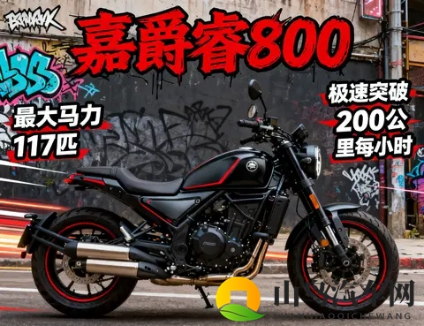 国产摩托内卷王炸 4款中排巡航 四缸车实测 最低269万 马力最高117匹-2
