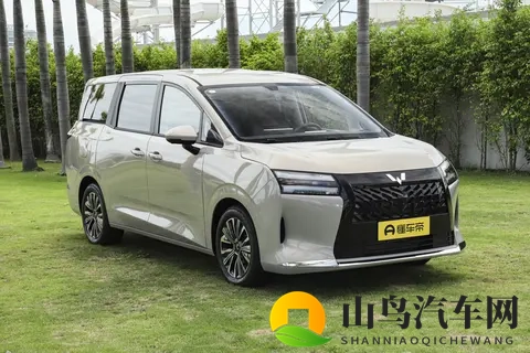 我的星光730 2025款到店体验:一辆适合全家出行的7座车-2