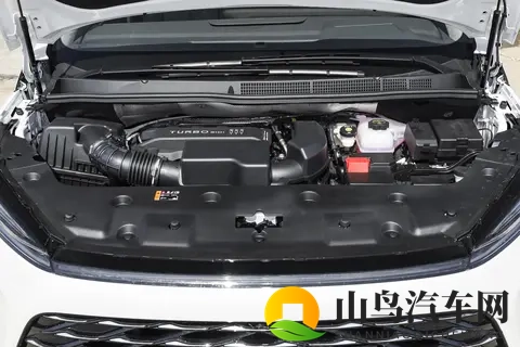 推特r8破解版免费网站：推特R8破解免费资源获取平台-3