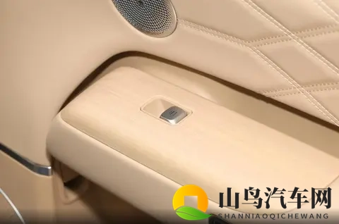 还是奇瑞“卷”！1899万起买大型SUV，纯电续航220km，不挣钱？-3